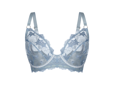 Embroidered Lingerie Embroidered Lingerie